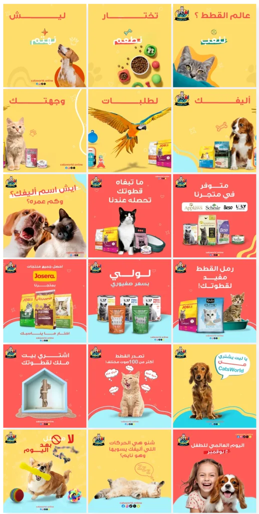 كاتس وورلد — إدارة التواصل الاجتماعي
